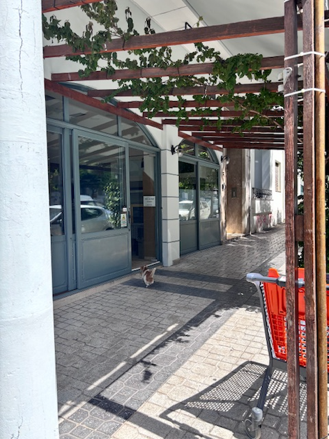 Gallery Image 16